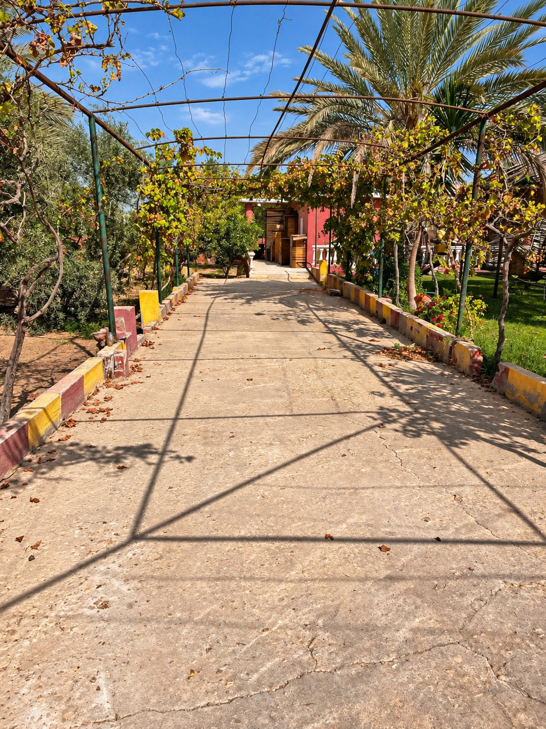 5,250 sqm Corner Farm with Rest House & Established Fruit Planting in European Countryside, New Sphinx
